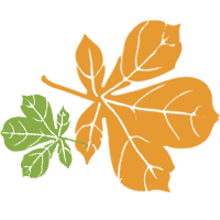 משחקי ECO